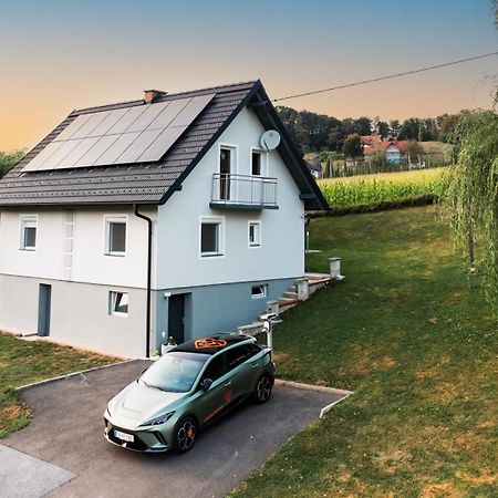 Ferienhaus Treissmann An Der Weinstrasse Leutschach Eksteriør billede