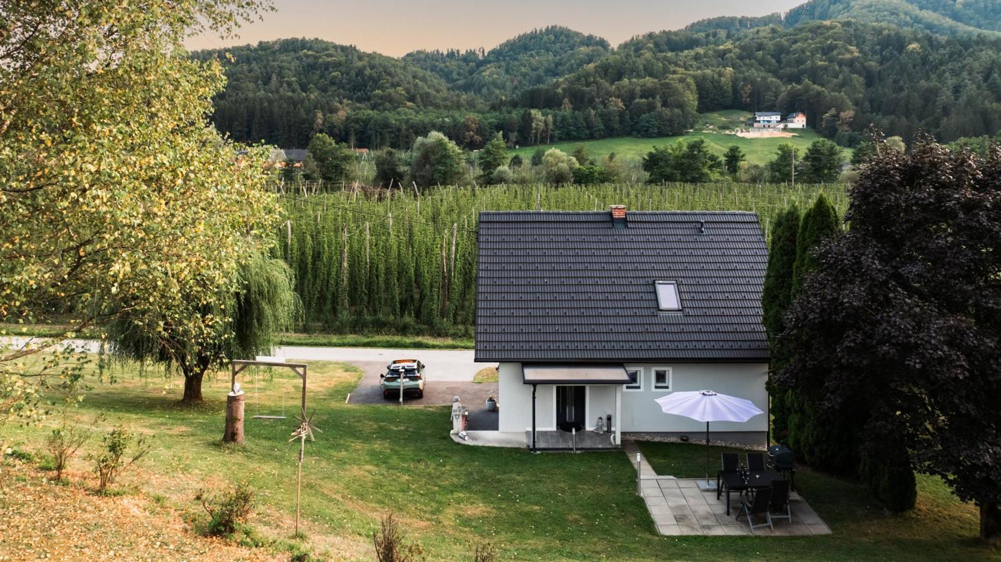 Ferienhaus Treissmann An Der Weinstrasse Leutschach Eksteriør billede